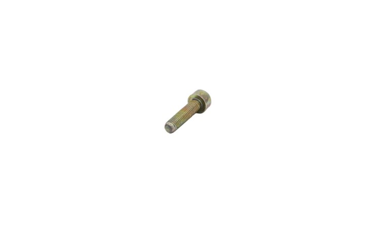 Pöttinger 104.915 Šroub M6x25 DIN 912 8,8 Zn