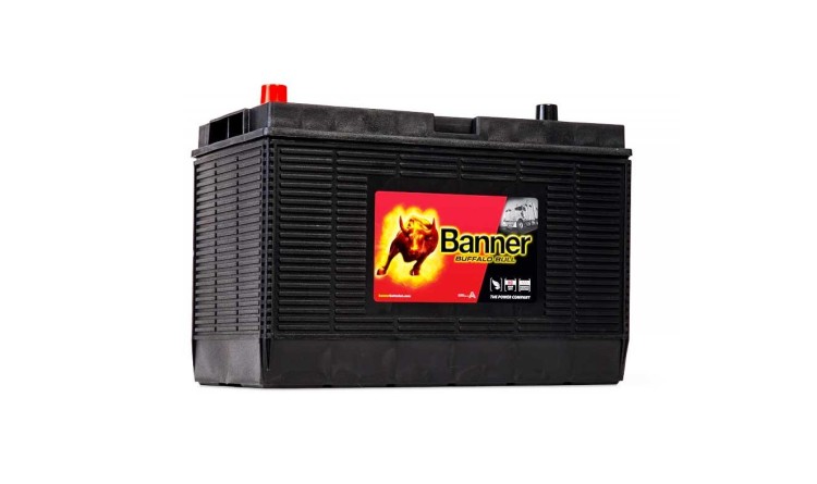60502 Baterie Banner Buffalo Bull 12V/105Ah 1000A (En)