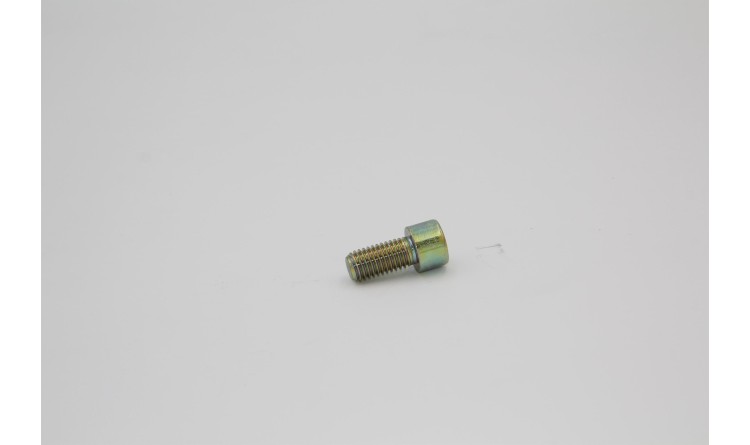 Šroub M12x25 DIN 912 8 8 imbus