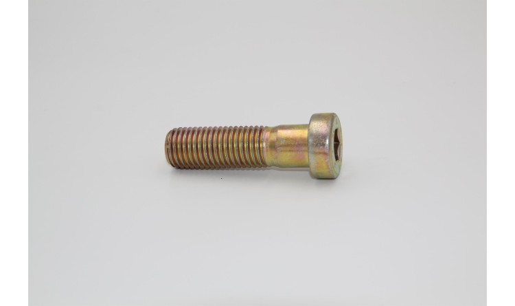Šroub M20x70 DIN 7984 8 8 Zn