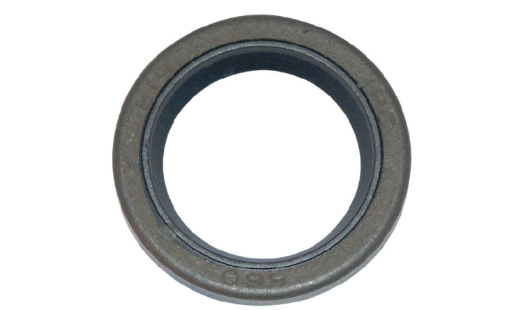 Briggs & Stratton Gufero 299819S