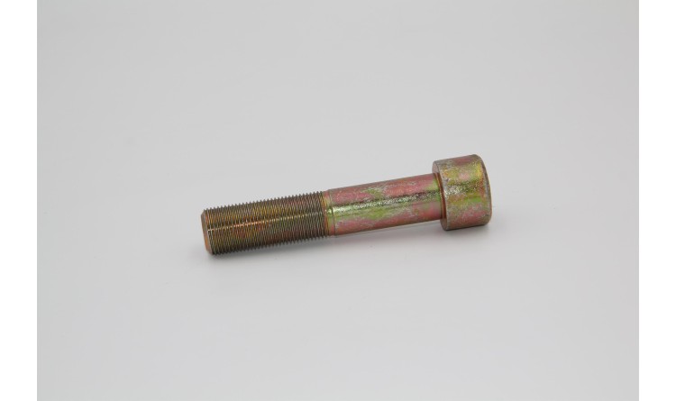 Šroub M20x1,5x100