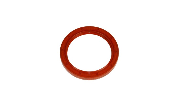 Gufero 48x62x8 SI GP
