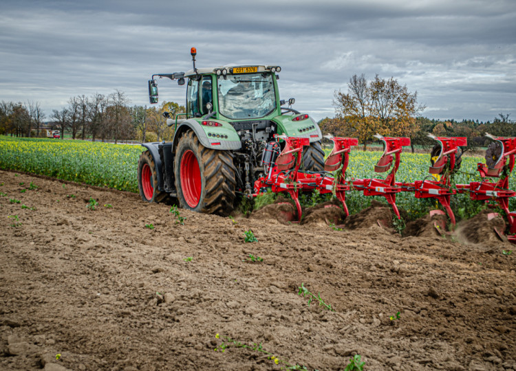 Zaorávání hořčice s pluhem Pöttinger Servo 45 M_0050