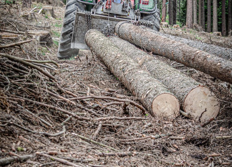 Technologie investice v lesním hospodářství - 3. kolo PRV